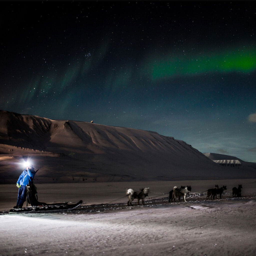 Guests using dog sledges to follow the aurora borealis