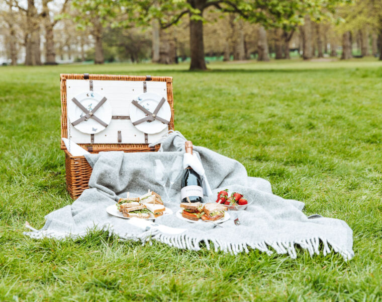 The Athenaeum Hotel & Residences Picnic in the Park hamper on the grass