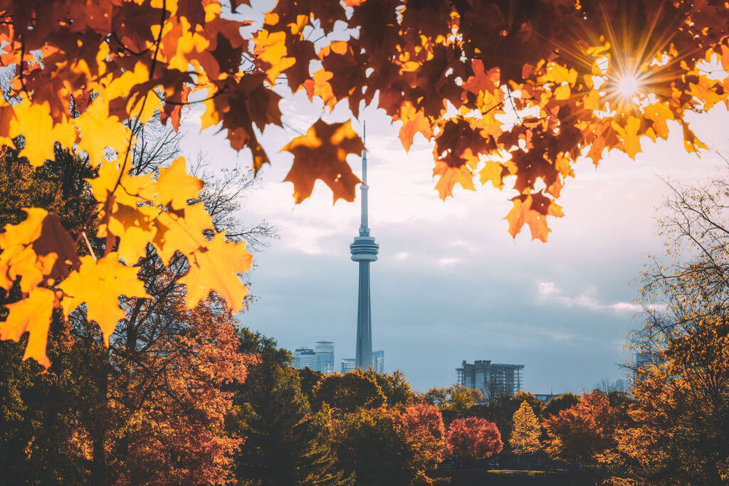 Some of the Fantastic Events and Happenings in Toronto in 2022
