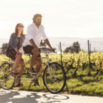 A couple cycling on a tandem bike through a vineyard