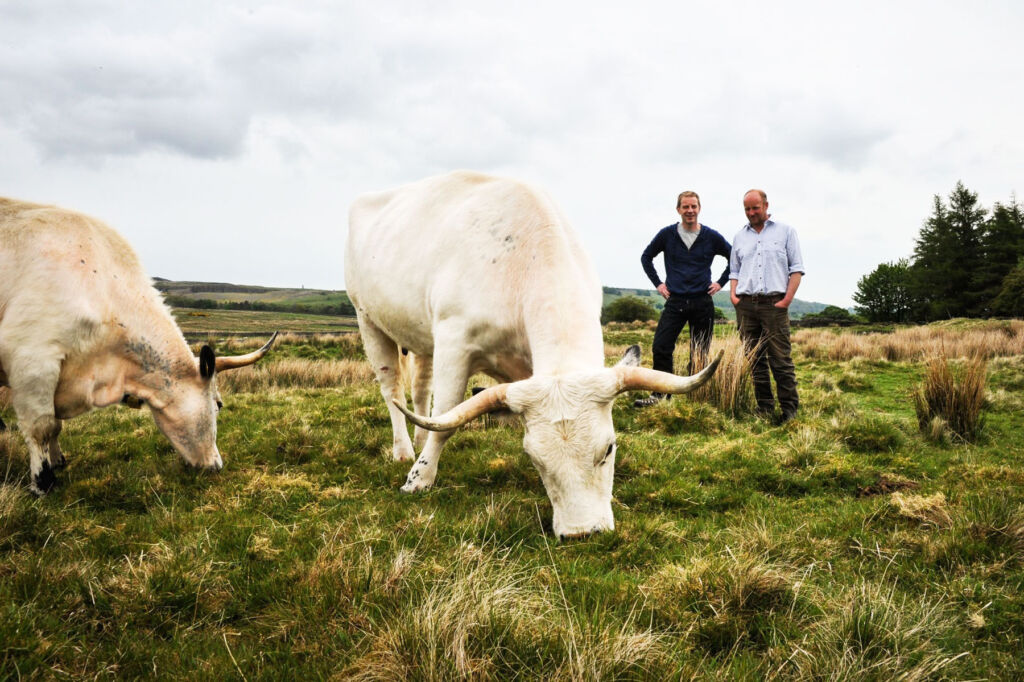 James Sturdy the company's founder chatting to a farmer in a field with some cows