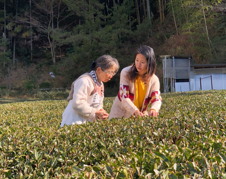 The Nukumorien Yururi organic tea farm