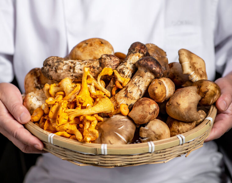 The Legacy House Chef holding a large bowl of Yunnan Mushrooms