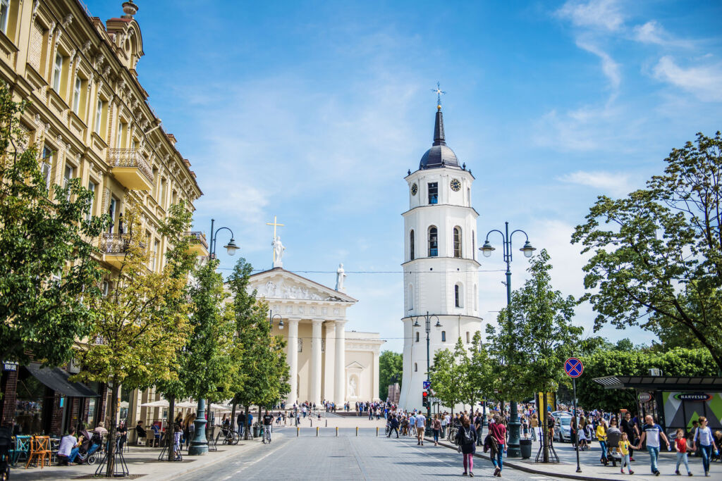 The cathedral and Gediminas avenue in Vilnius