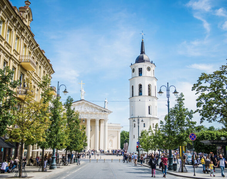 The cathedral and Gediminas avenue in Vilnius