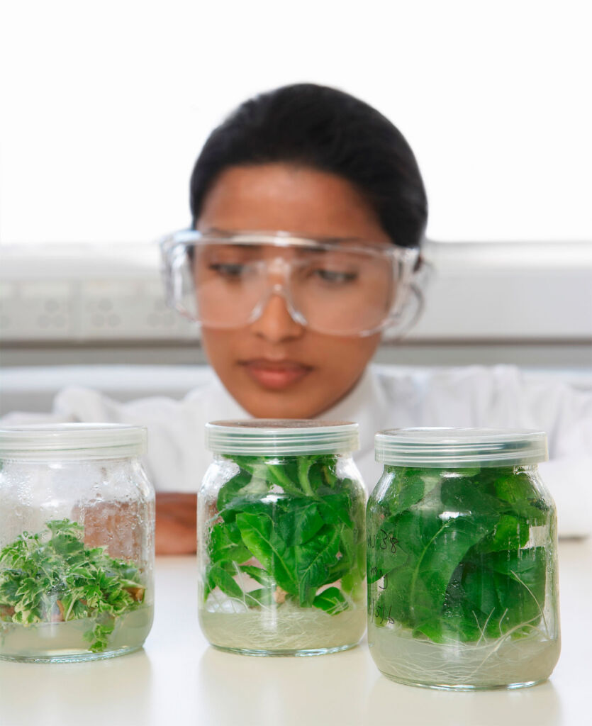 A scientist studying plants in a laboratory