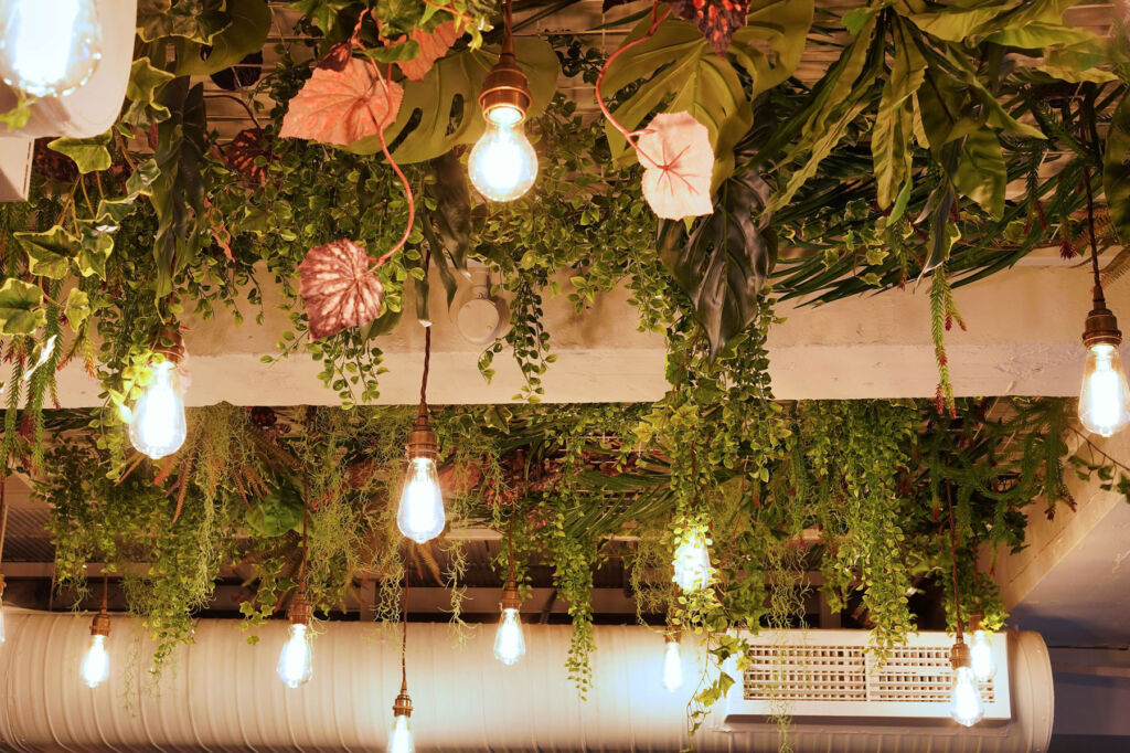 The foliage hanging from the ceiling in the premises