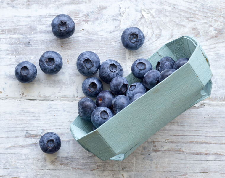 Blueberries Could Be Your Best Food Buddy if You Like Working Out