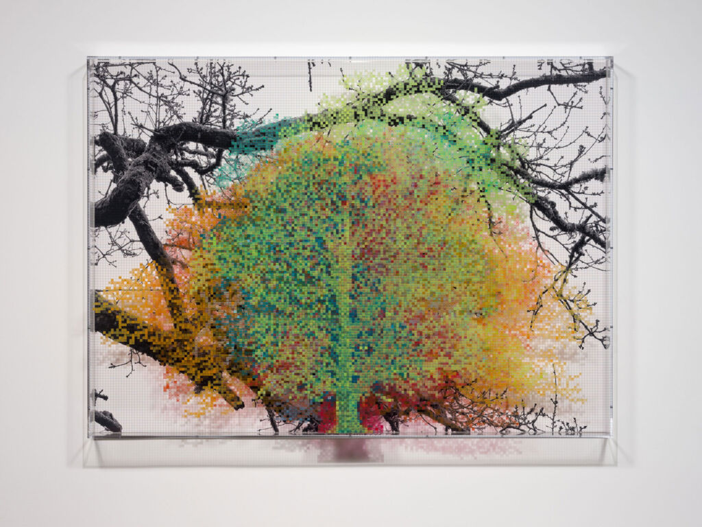 A digital tree artwork by Charles Gaines