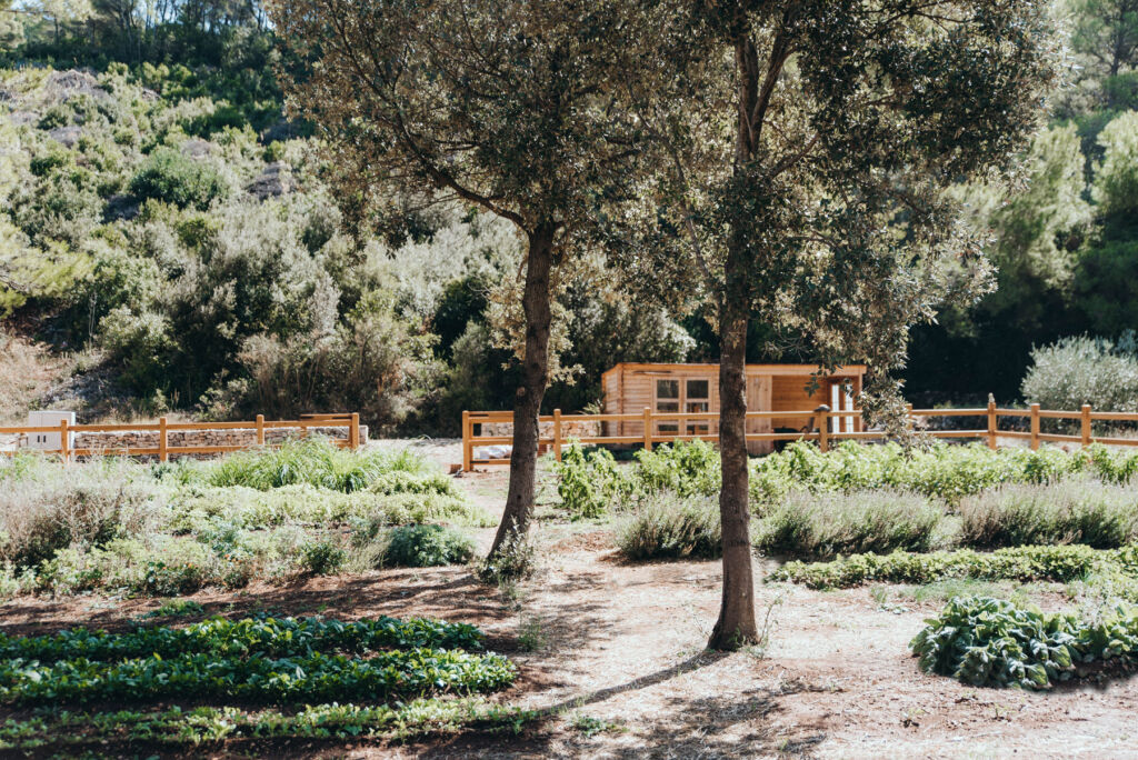 The resort's organic garden