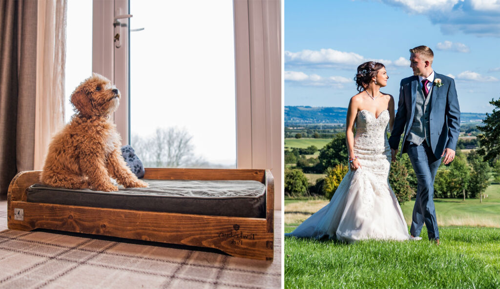 Two images, one showing the dog friendly facilities and another showing a newly married couple in the grounds