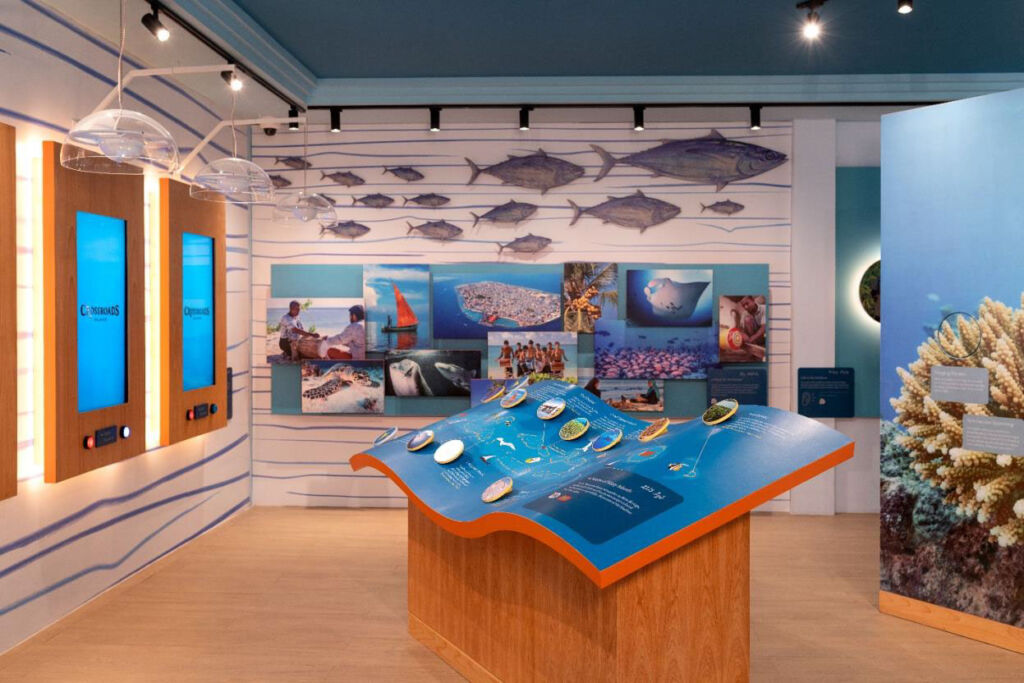 The Marine Discovery Centre is a dedicated conservation hub with interactive displays about the rich undersea environment