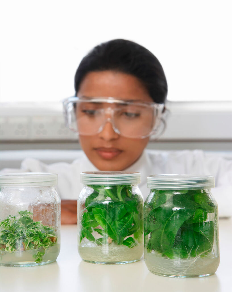 A female scientist studying plants in a laboratory