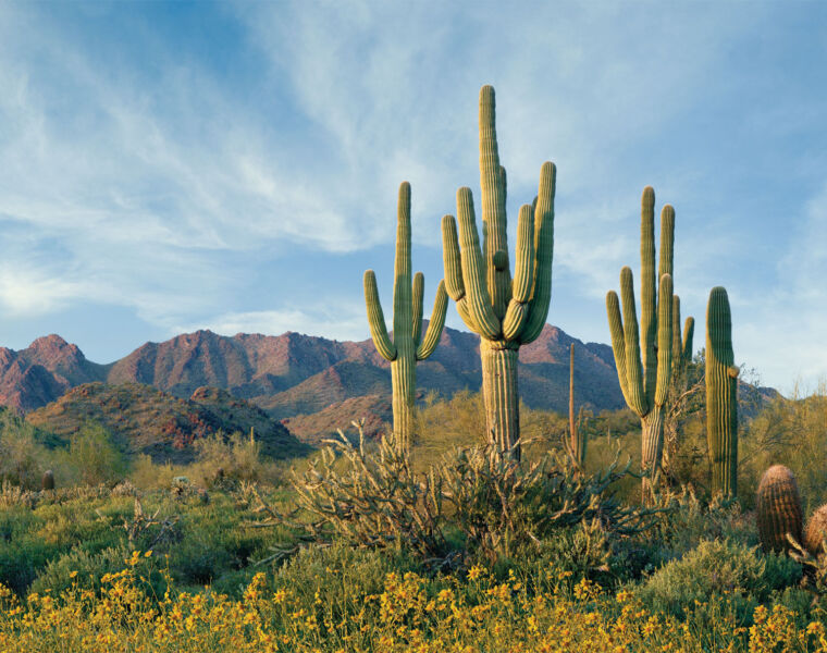 Kickstart 2023 with a Wellness Escape to Scottsdale, Arizona