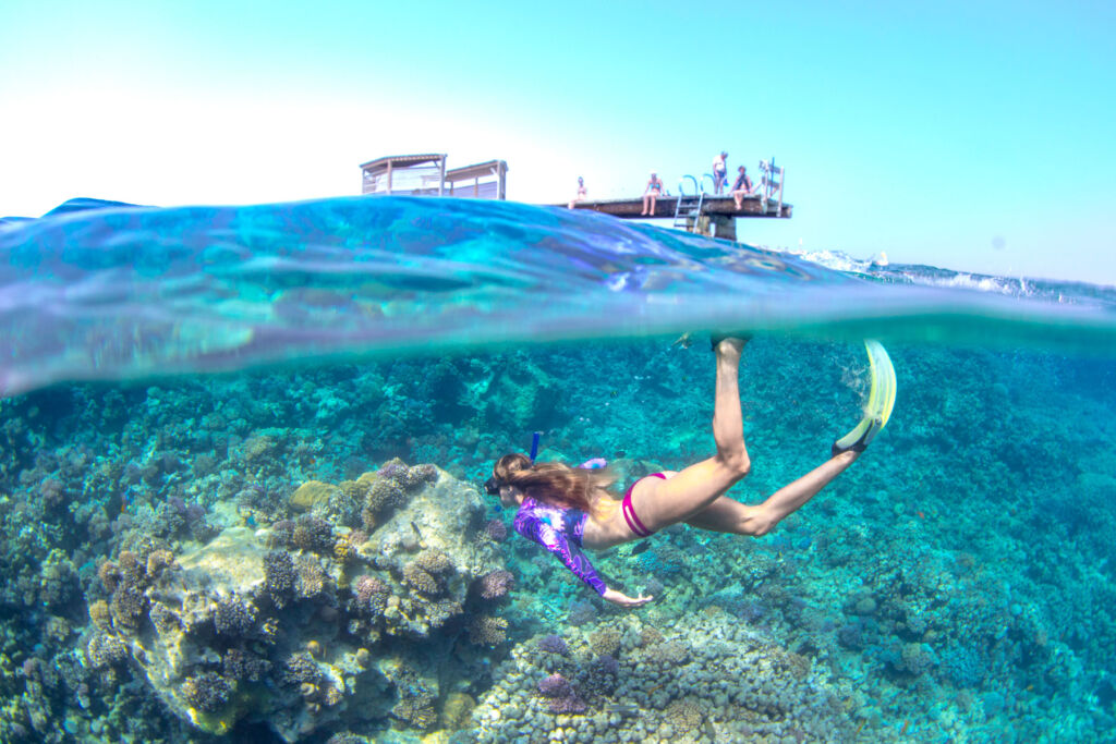 A young woman snorkelling on the house reef