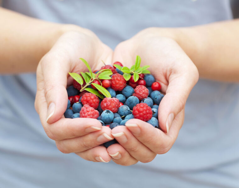 Berries: Could these Powerful Little Fruits Prevent and Manage Illness in Kids?