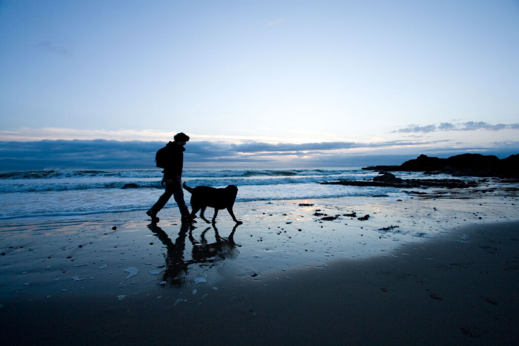 A man walking his dog on the beach in the early morning