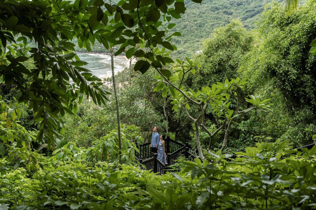 A couple admiring the lush forest from a viewing platform