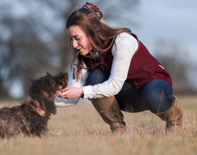 ACME Whistles The ALPHA Helps to Build More Rewarding Relationships with Dogs