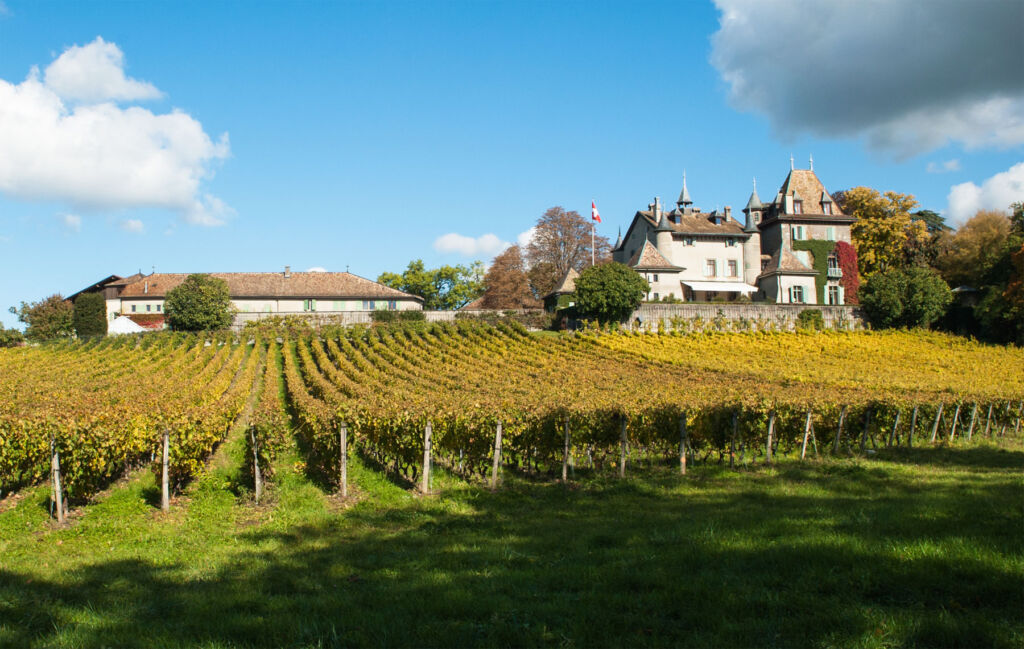 Chateau Du Crest and its vineyard