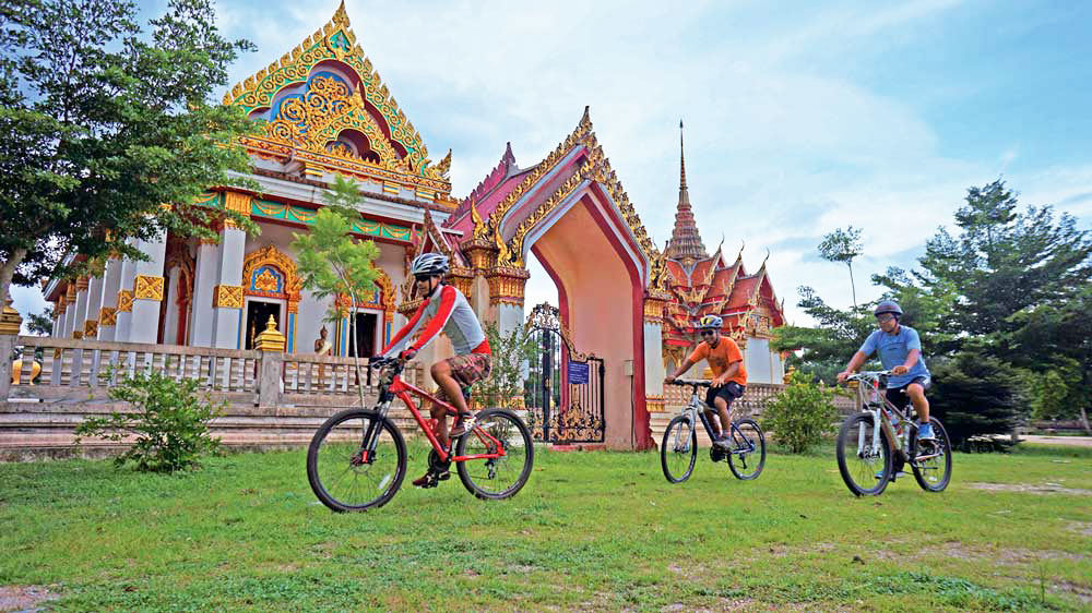 Guests exploring the local area on bicycles