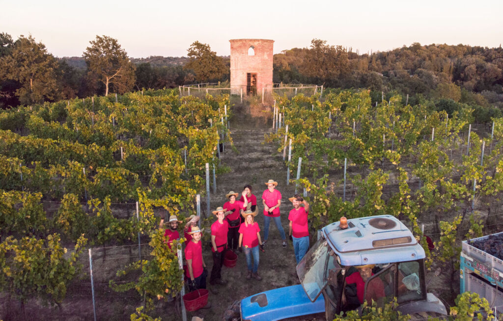 The winemaking team celebrating the harvest