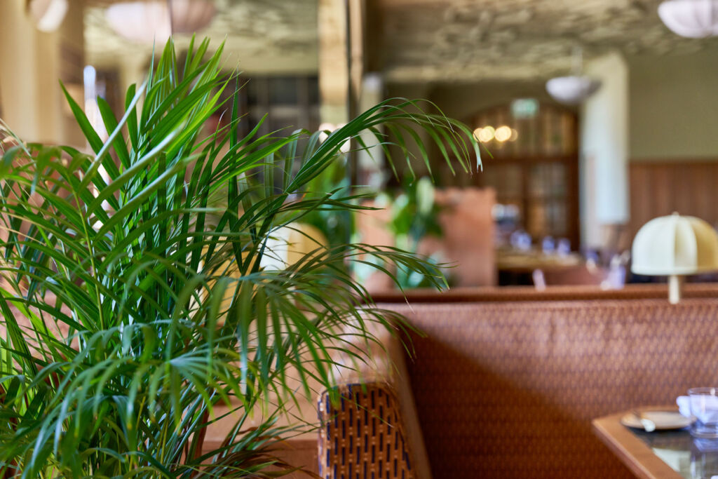 The foliage inside the restaurant