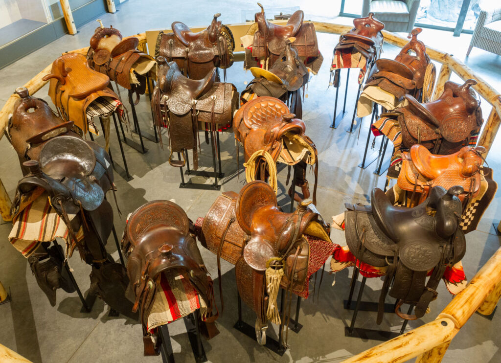 A collection of vintage leather saddles forming a large circle