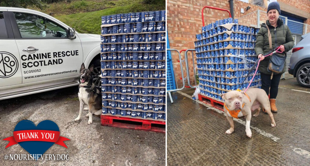 Two photos showing pallets of the dog food being donated