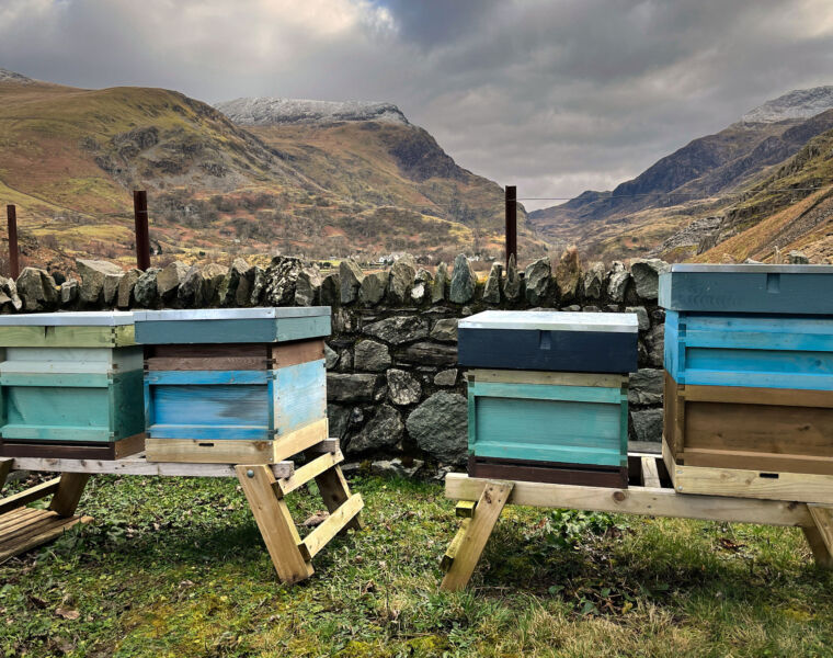 The Snowdonia Honey Co., the Welsh Food Producer Creating a Buzz in the UK