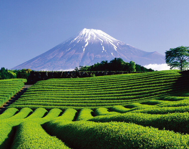 The Mt. Fuji Climbing Season Opens from July 10th to September 10th