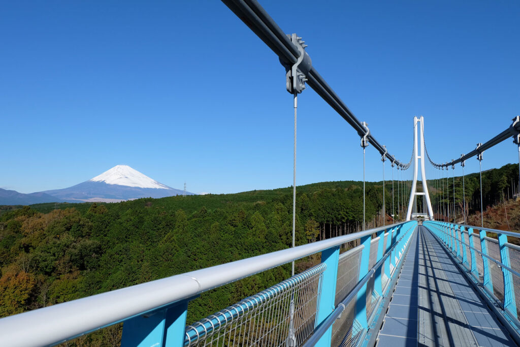 The views from the suspension bridge