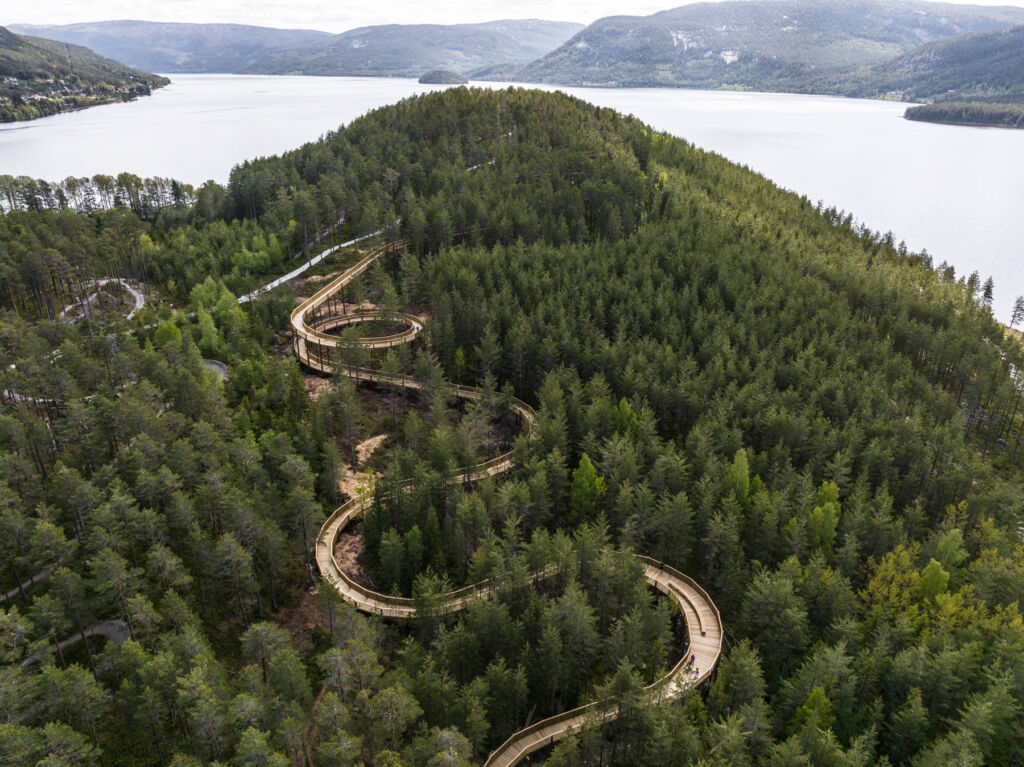 EFFEKT Creates a Natural Sanctuary for All with Norway's First Treetop Walk