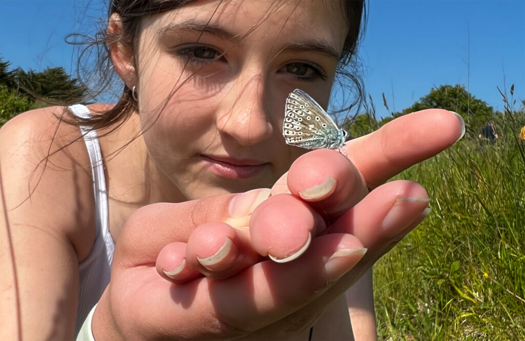 Help Lancashire Top the 22,207 Butterflies Spotted in the County Last Summer
