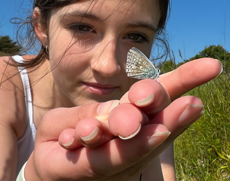 Help Lancashire Top the 22,207 Butterflies Spotted in the County Last Summer