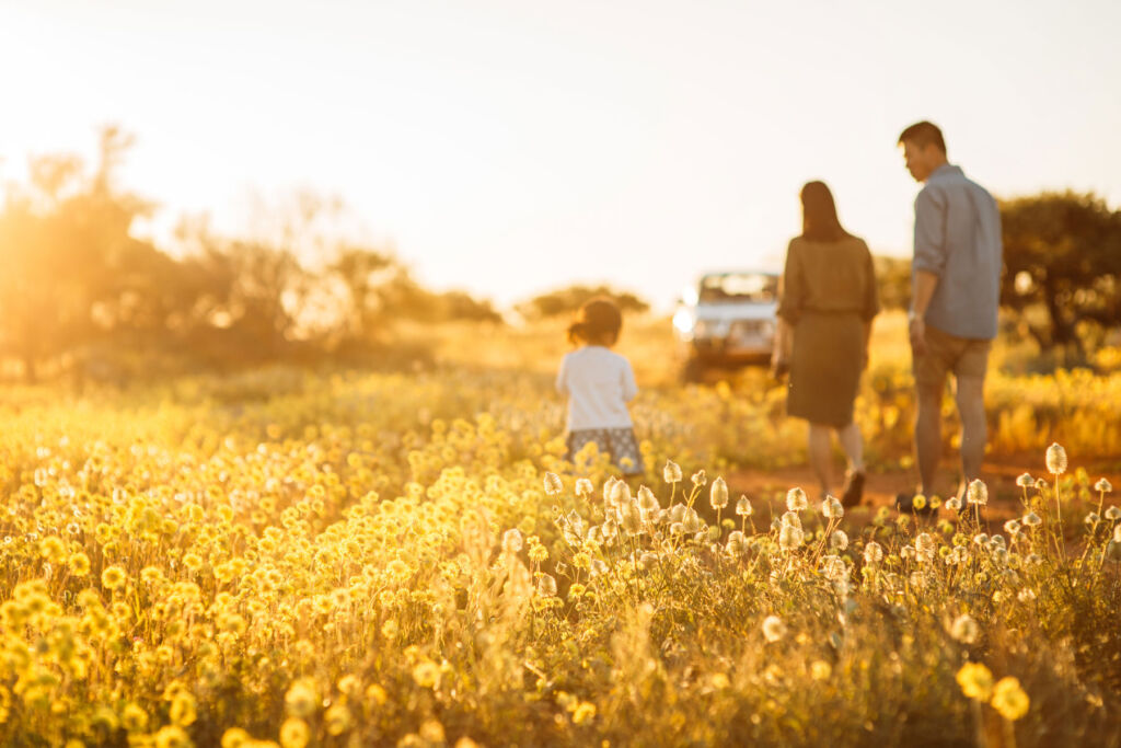 A family walking in a field of flowers in bright sunshine