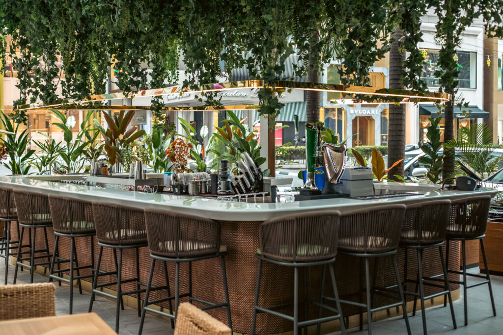 The restaurant's bar with hanging foliage