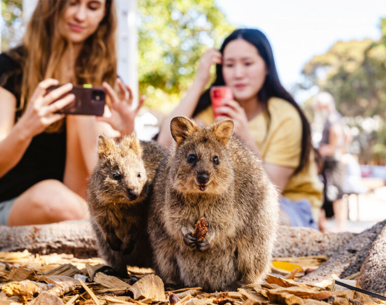 A Guide to Some of Western Australia's Amazing Family-friendly Experiences