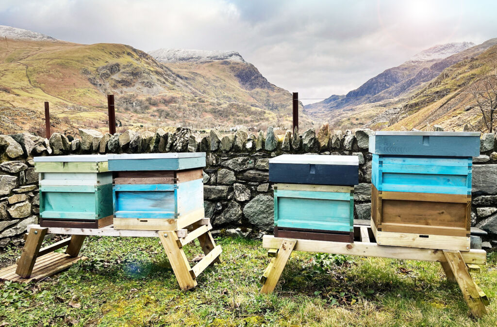 Good Weather Allows Snowdonia Honey Co. to Release a Rare Welsh Spring Honey