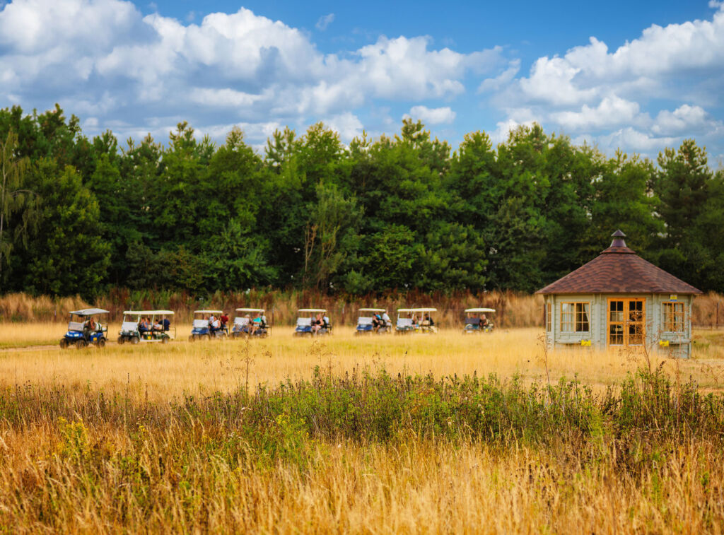 Visitors exploring the reserve in the electric buggies