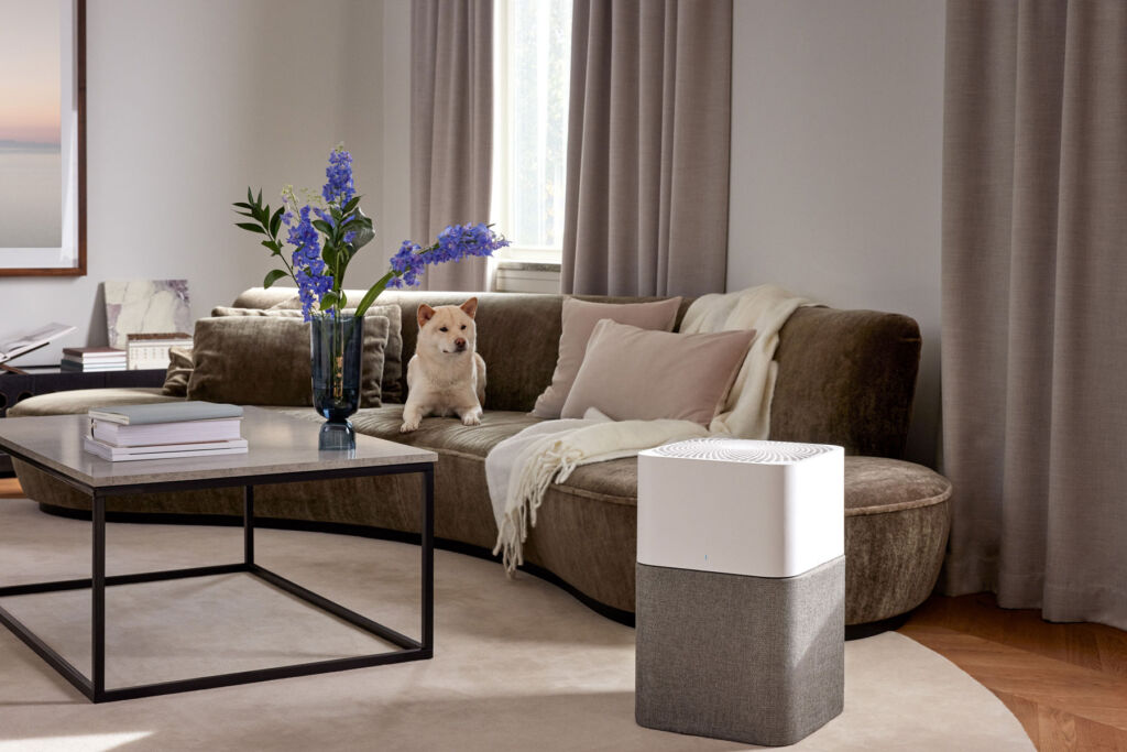 A dog sitting on the sofa in a living room with one of the purifiers