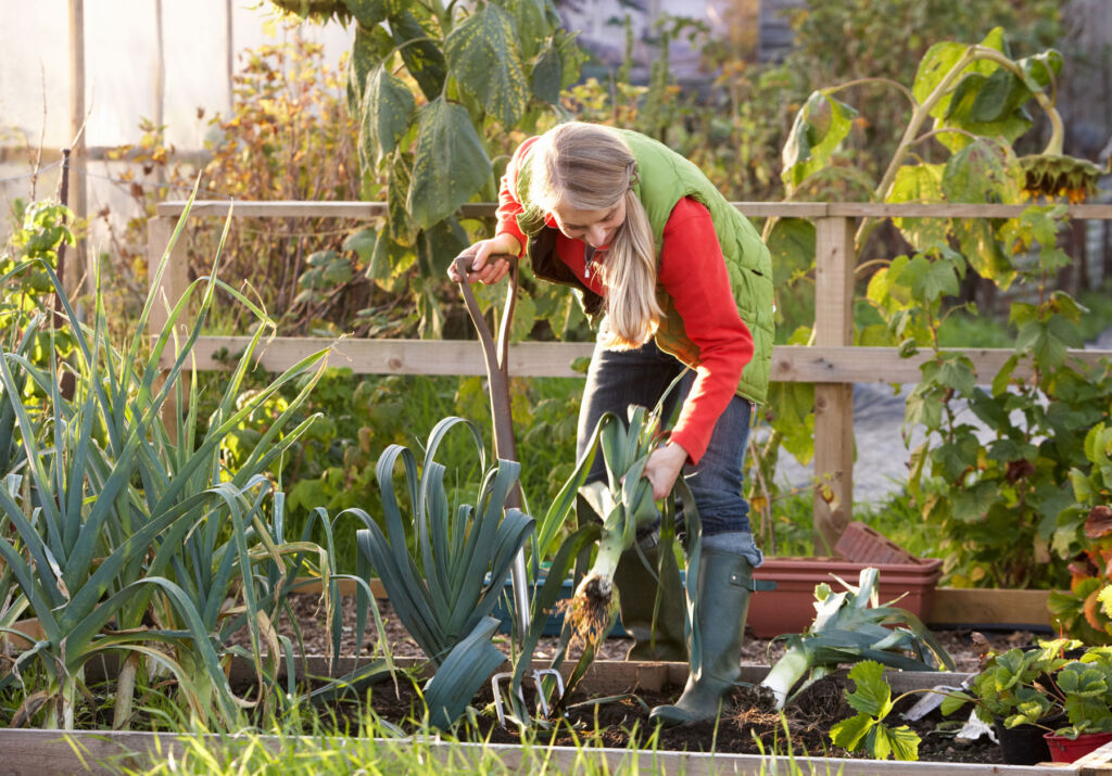 Get Garden Ready This Autumn to Help it to Spring into Action in 2024