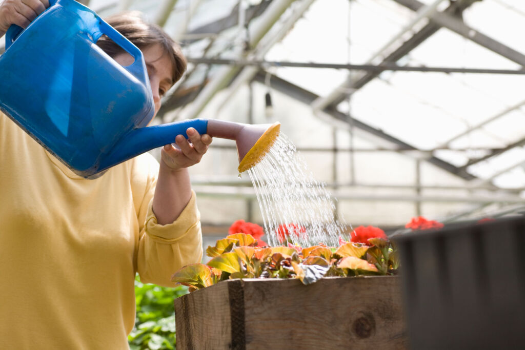 A woman watering some flowers in her greenhouse in Autumn