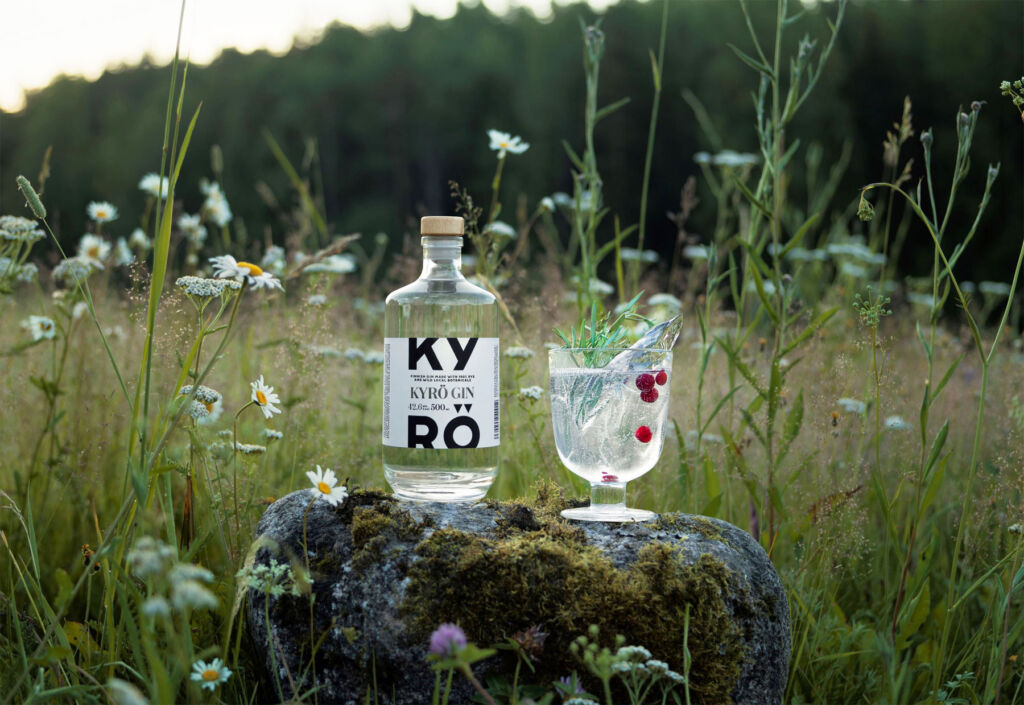 A bottle of gin sat on a rock outdoors next to a glass filled with ice and berries