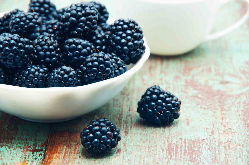Advanced Growing Techniques Extends the British Blackberry Season to 36-weeks