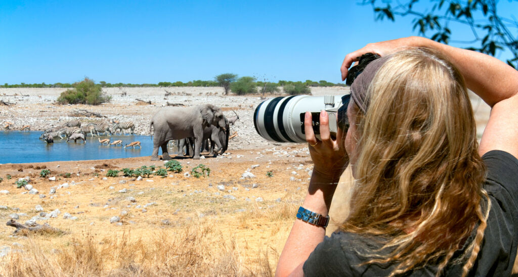 A woman photographing elephants at a watering hole