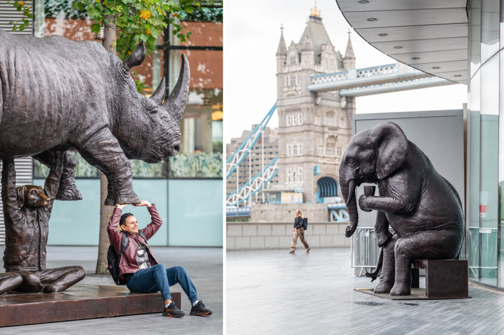 Two photographs, one of a man holding a rhino above his head, the other of an elephant sat on a bench having a drink from a cup