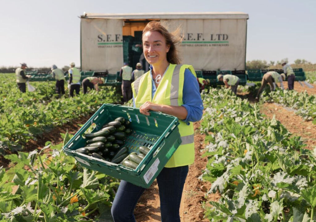 A Cornish Farm has Donated 396 Tonnes of Surplus Produce to Fight Poverty