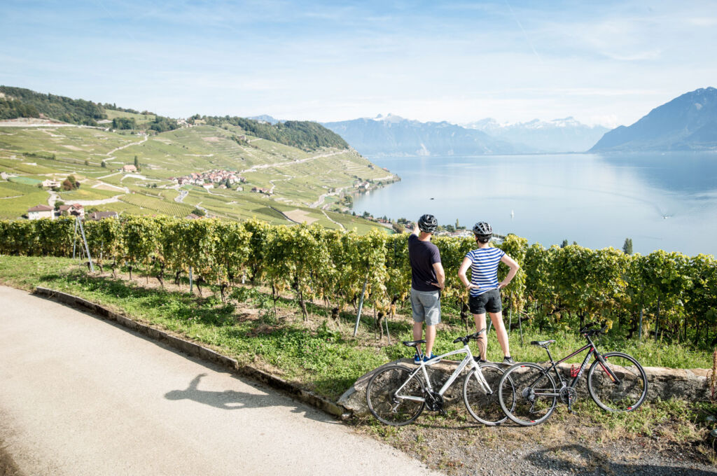 A couple with their bicycles enjoying the view from a road next to a vineyard
