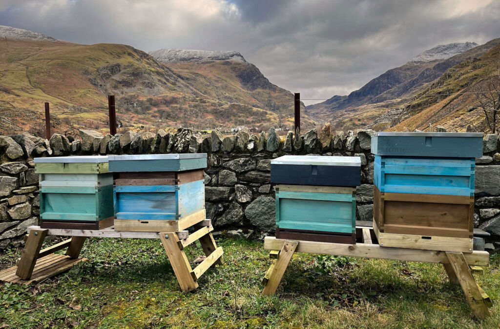 The Snowdonia Honey Co. Shares its 2023 Honey Season Highlights and Challenges